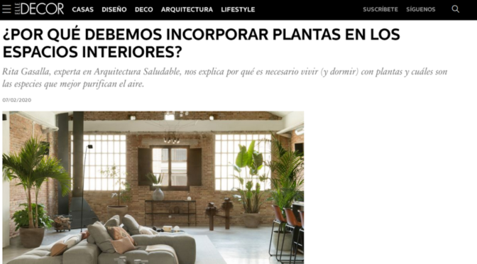 ¿Por qué debemos incorporar plantas en los espacios interiores? (Elle Decor)