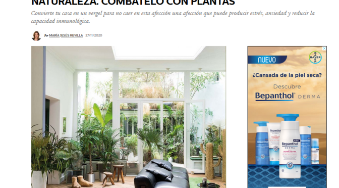 ¿Sabes lo que es el TDN? Trastorno por Déficit de Naturaleza. Combátelo con plantas (Elle Decor)