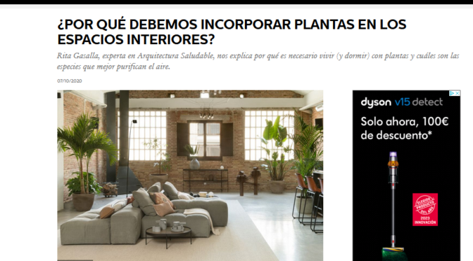 ¿Por qué debemos incorporar plantas en los espacios interiores? (Elle Decor)